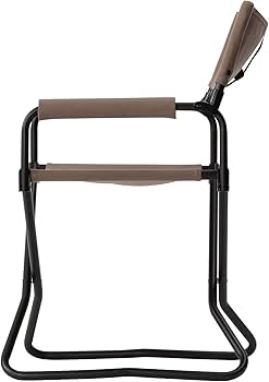 Amazon.co.jp: スノーピーク(snow peak)チェア 折畳み FDチェア